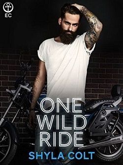 One Wild Ride (Lords of Mayhem 2) by Shyla Colt