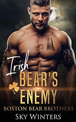 Irish Bear's Enemy (Boston Bear Brothers 4) by Sky Winters