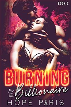 Burning for the Billionaire 3 by Hope Paris